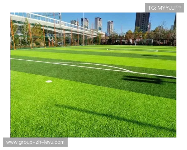 2026年足球青训基地社区联动示范项目推广手册发布，足球青训营招生