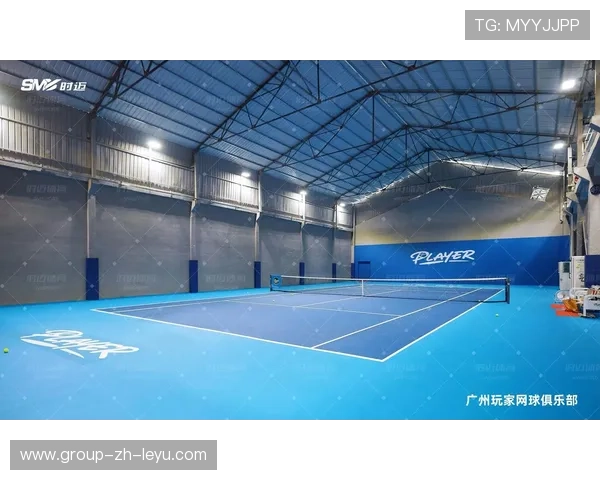 网球俱乐部推动基层场馆教学资源共享平台建设，网球场馆经营现状与对策分析研究目的